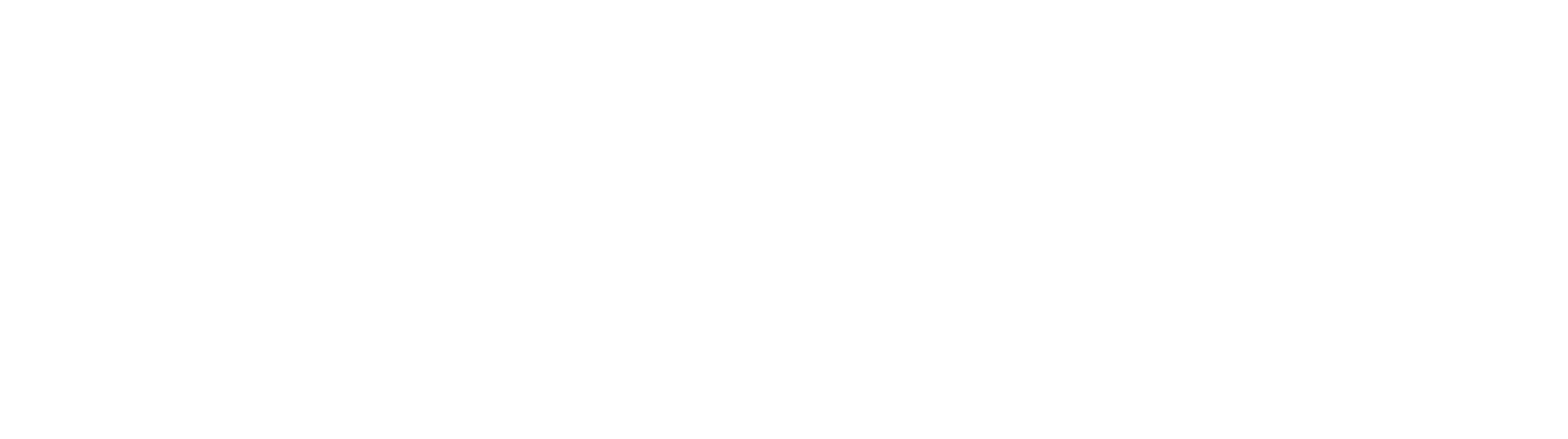 Checkat-primär-logotyp-vit